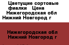    Цветущие сортовые фиалки › Цена ­ 200 - Нижегородская обл., Нижний Новгород г.  »    . Нижегородская обл.,Нижний Новгород г.